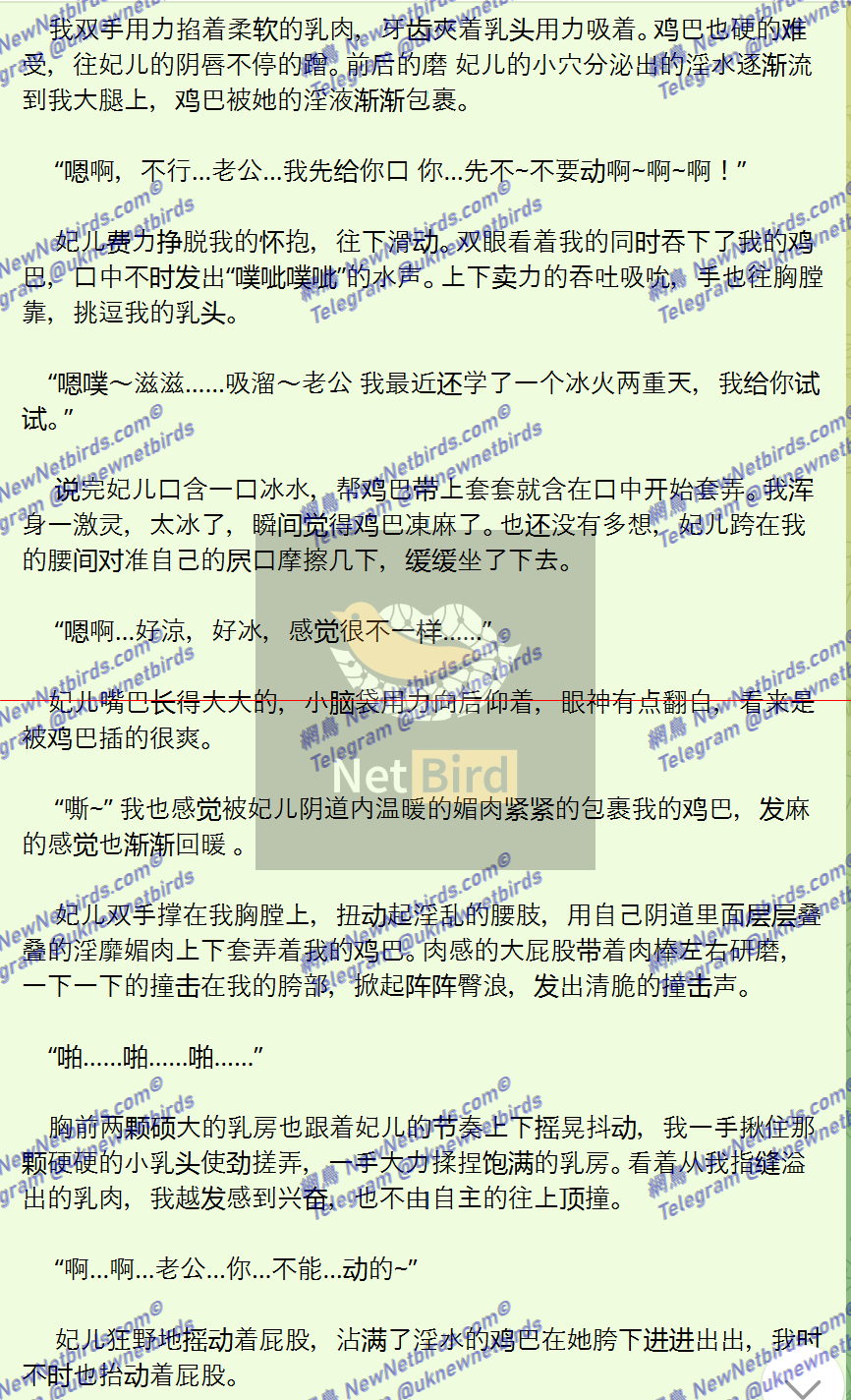 戰號 537 5.png